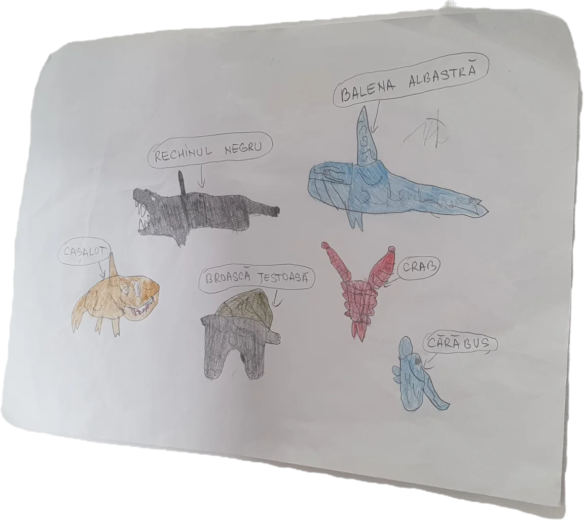 Desen: animale marine colorate